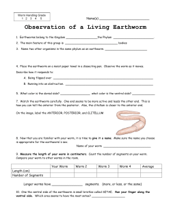 Observation of a Living Earthworm