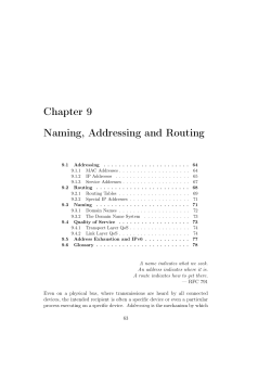 Chapter 9 Naming, Addressing and Routing