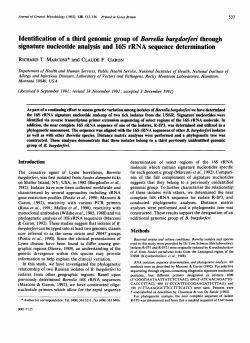 Identification of a third genomic group of Borrelia
