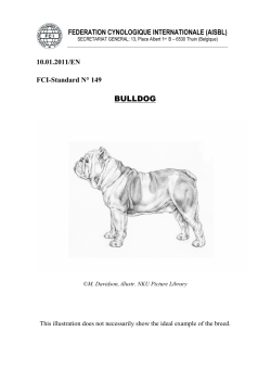BULLDOG