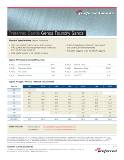 Preferred Sands Genoa Foundry Sands