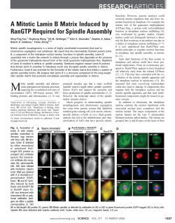 A Mitotic Lamin B Matrix Induced by RanGTP Required for Spindle