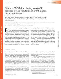 PKA and PDE4D3 anchoring to AKAP9 provides distinct regulation