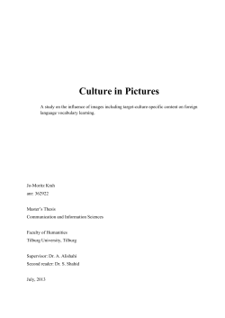 Culture in Pictures - source url