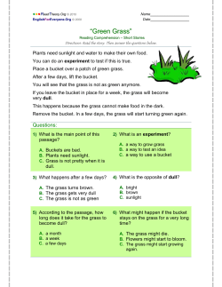 Green Grass - English for Everyone