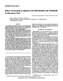Effects of Freezing on Spinach Leaf Mitochondria and Thylakoids in