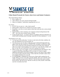 Feline Dental Protocols for Fosters, Interviwers and Intake Evaluators