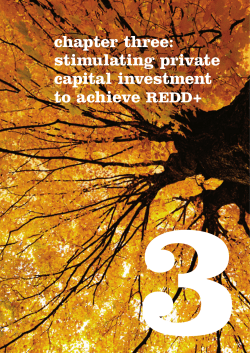 chapter three: stimulating private capital investment to achieve