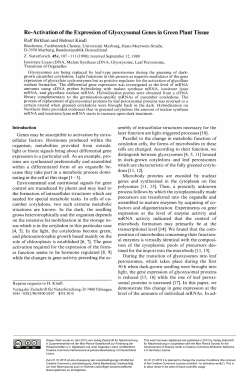 Re-Activation of the Expression of Glyoxysomal Genes in Green