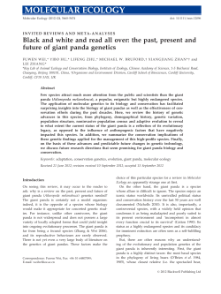 Giant panda genetics