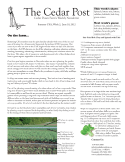 Newsletter 2 - Cedar Down Farm