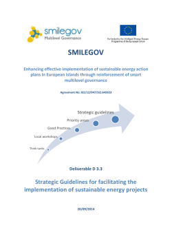 D3.3 Strategic guidelines