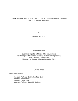 OPTIMIZING PENTOSE SUGAR UTILIZATION IN