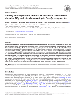 Linking photosynthesis and leaf N allocation under future elevated