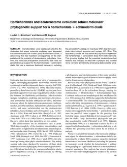 Hemichordates and deuterostome evolution: robust