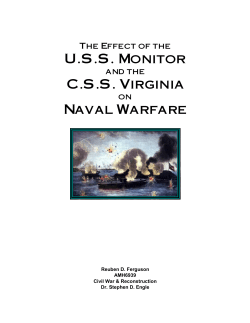 Monitor vs Virginia - RDF Opening Web Page
