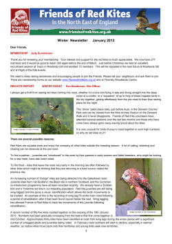 1 Winter Newsletter January 2013