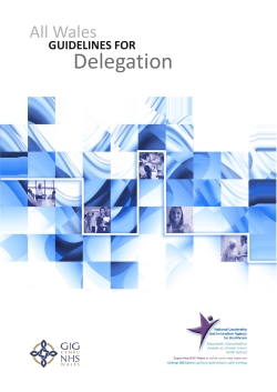 All Wales Guidelines for Delegation