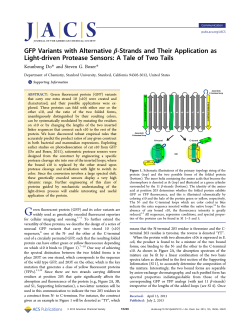 GFP Variants with Alternative &beta;‑Strands and Their Application as