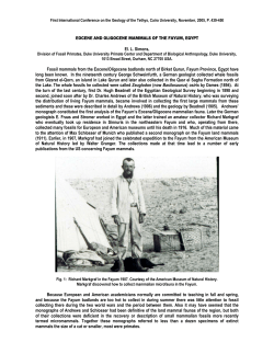 EOCENE AND OLIGOCENE MAMMALS OF THE FAYUM, EGYPT El