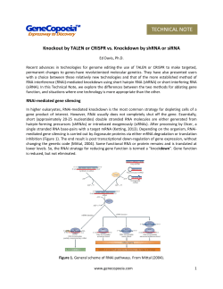 Knockout by TALEN or CRISPR vs. knockdown by