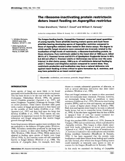 The ribosome-inactivating protein restrictocin deters insect feeding