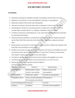 excretory system - Sakshieducation.com