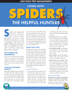 Spiders - Ecology Center