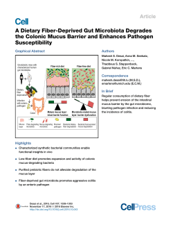 A Dietary Fiber-Deprived Gut Microbiota Degrades the Colonic