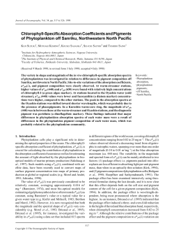 Chlorophyll-Specific Absorption Coefficients and Pigments of