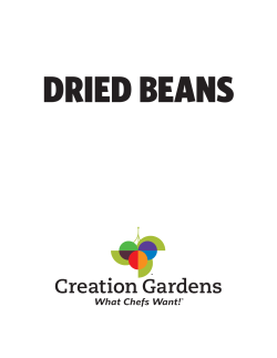 Dried Beans