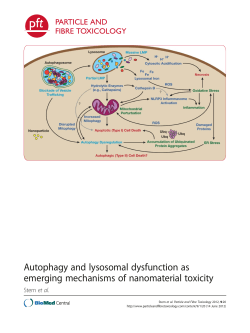 Autophagy and lysosomal dysfunction as emerging mechanisms of