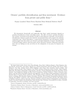 Owners` portfolio diversification and firm investment