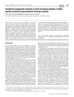 Carotenoid oxygenases involved in plant branching catalyse a