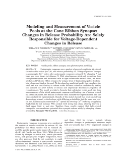 Modeling and Measurement of Vesicle Pools at the Cone Ribbon