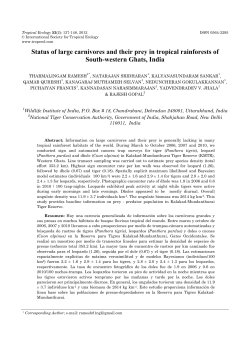 Status of large carnivores and their prey in tropical rainforests of