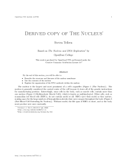 Derived copy of The Nucleus