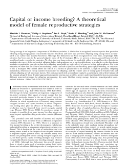 Capital or income breeding? A theoretical model