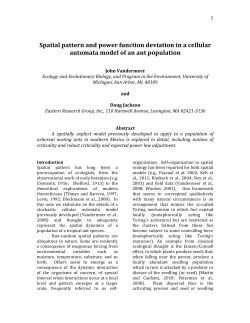 Spatial pattern and power function deviation in a cellular automata
