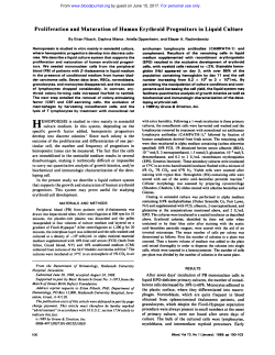 Proliferation and Maturation of Human Erythroid