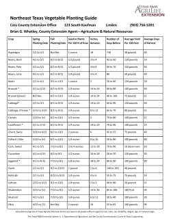 Northeast Texas Vegetable Planting Guide