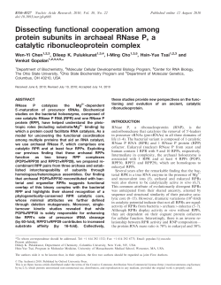 Dissecting functional cooperation among protein subunits in