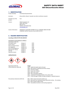 E85 Ethanol-Gasoline Blend