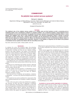 COMMENTARY Do jellyfish have central nervous systems?