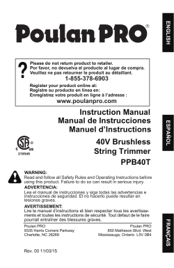 Poulan PRO 967038901 Manual