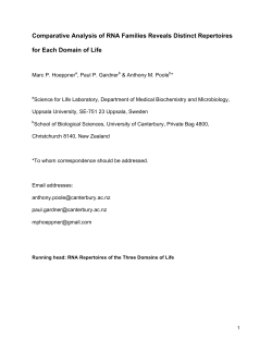 Comparative Analysis of RNA Families Reveals