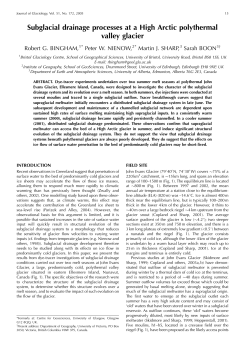 Subglacial drainage processes at a High Arctic polythermal valley