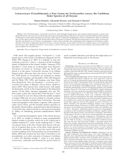 Linnaeosicyos (Cucurbitaceae): a New Genus for