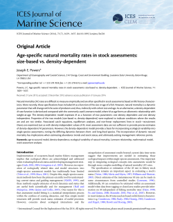 Age-specific natural mortality rates in stock assessments: size