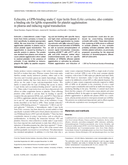 Echicetin, a GPIb-binding snake C-type lectin from